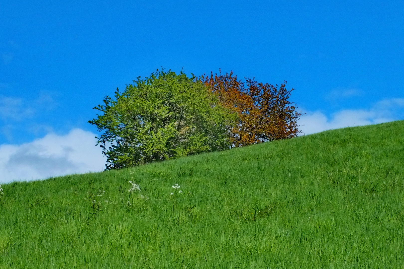 Frühlingswanderung 3