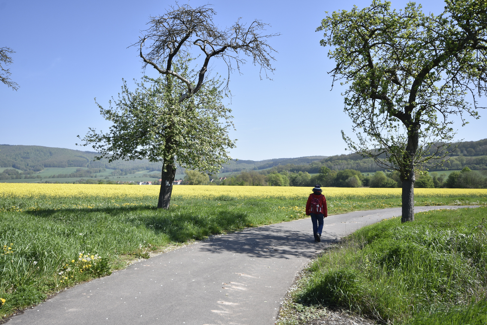 Frühlingswanderung