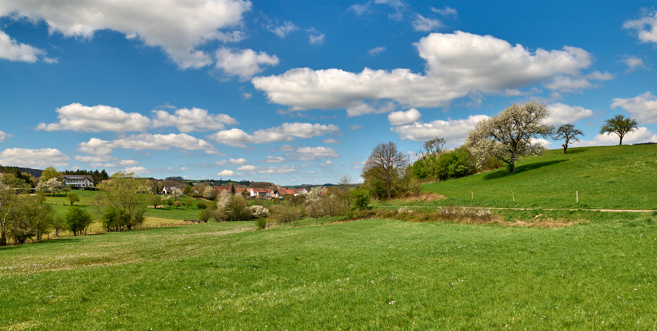 Frühlingswanderung am 16.04.2022 in Niedermohr, dem Geburtsort meiner Frau.