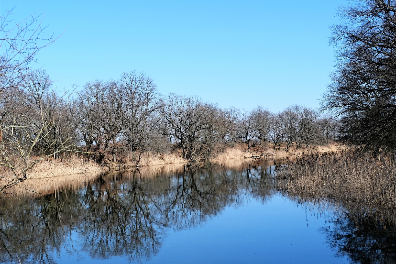 Frühlingswanderung am kleinen Fluss