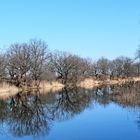 Frühlingswanderung am kleinen Fluss