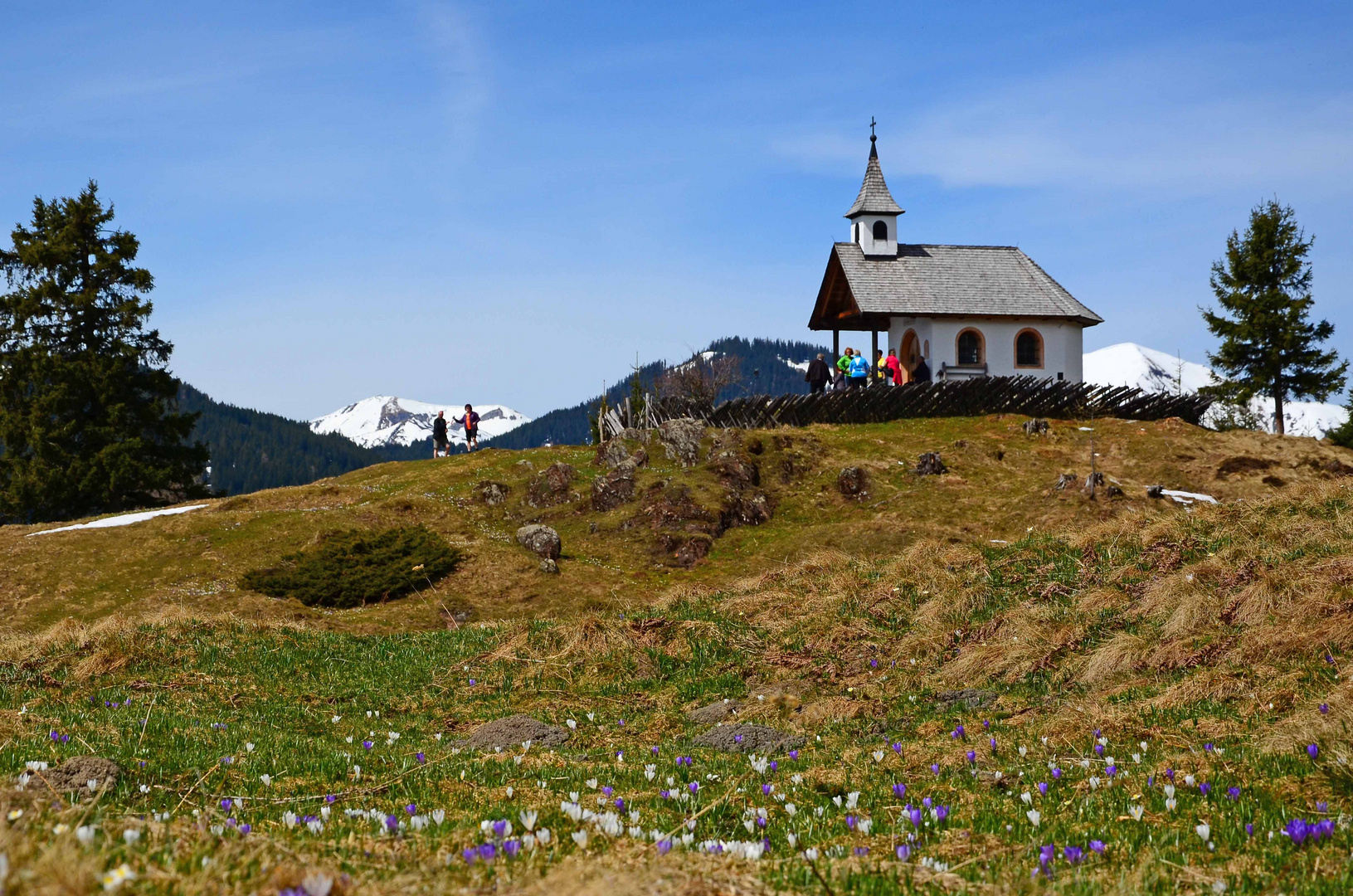 Frühlingswanderung auf den Meislstein - Goldegg-Weng