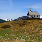 Frühlingswanderung auf den Meislstein - Goldegg-Weng