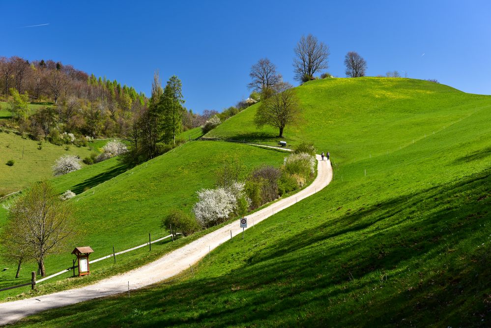 Frühlingswanderung