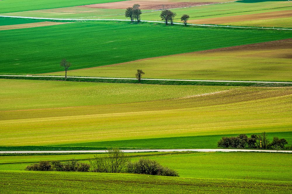 Frühlingswege