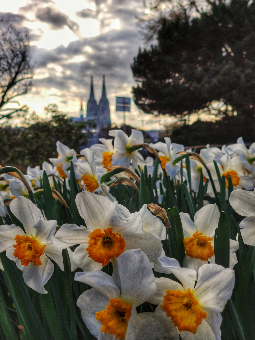 Frühlingswerk