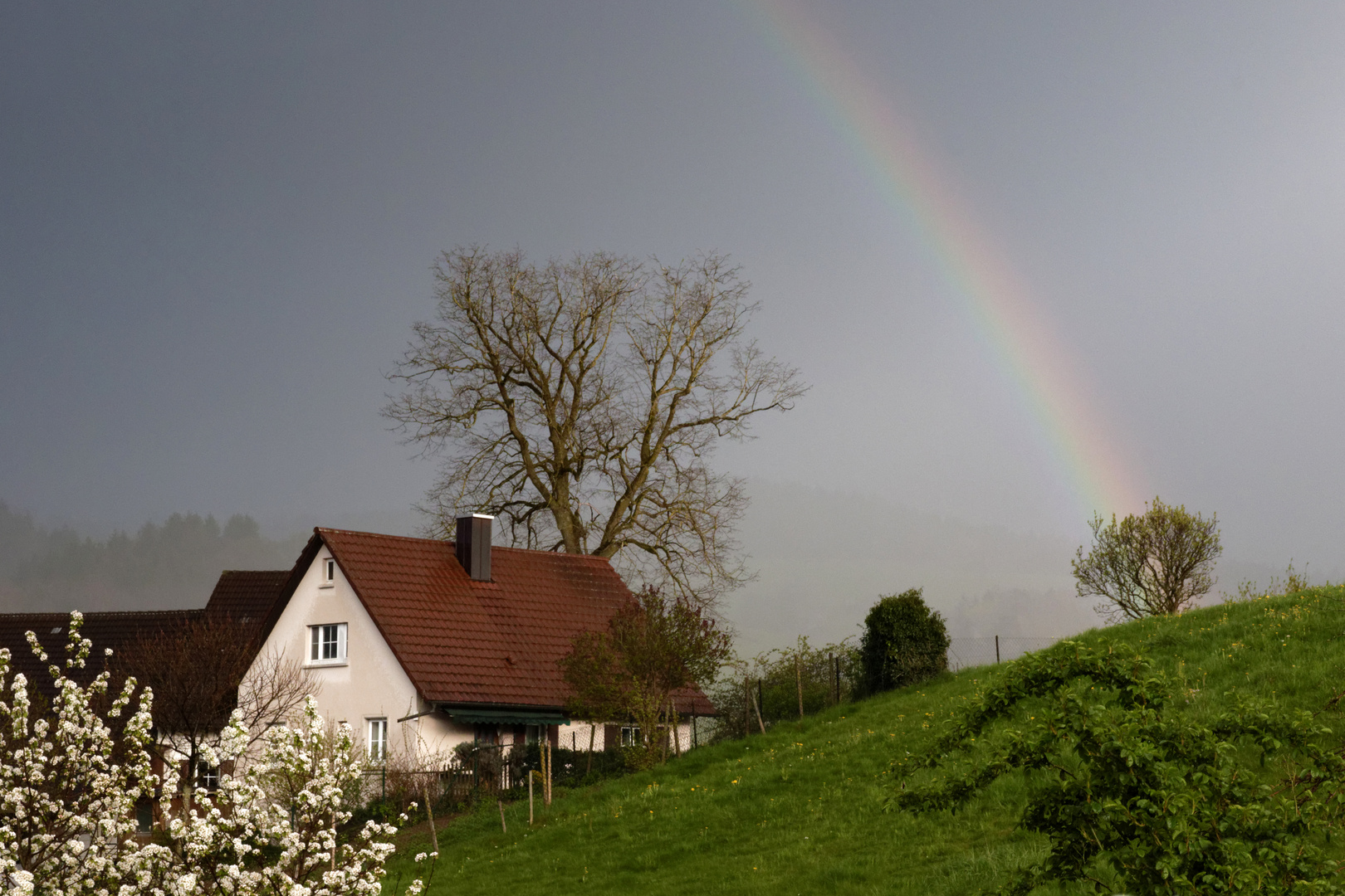 Frühlingswetter