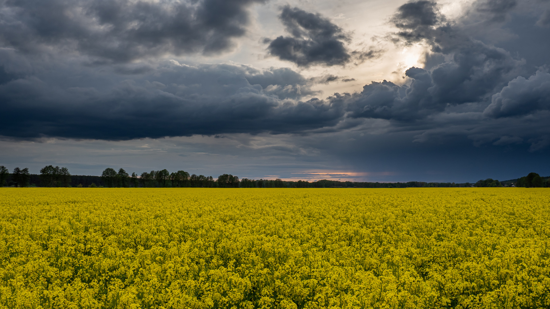 Frühlingswetter Foto & Bild deutschland, europe, brandenburg Bilder