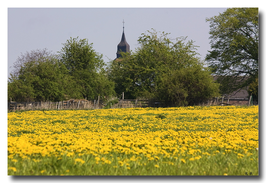 Frühlingswiese am Dorfrand