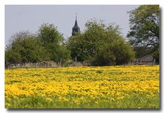 Frühlingswiese am Dorfrand