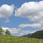 FRÜHLINGSWIESE MIT ZWEI KAPELLEN-ACHENKIRCH