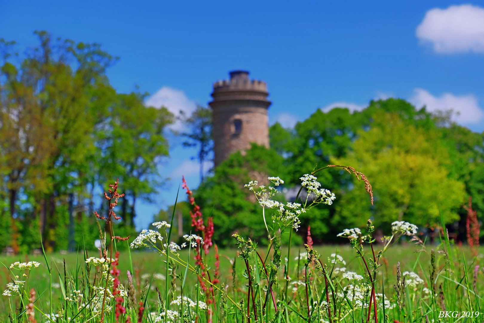 Frühlingswiese vor dem Ferberturm in Gera 
