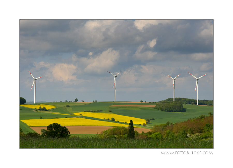 FrühlingsWind