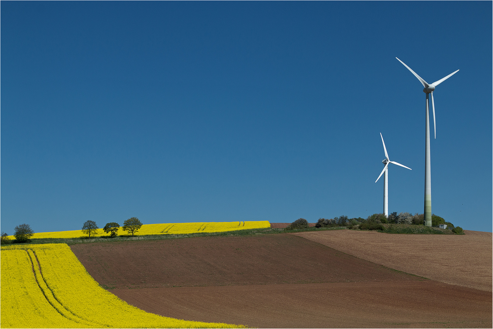 Frühlingswind