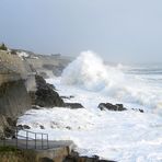 Frühlingswindchen in Porthleven am 10.03.2008 III