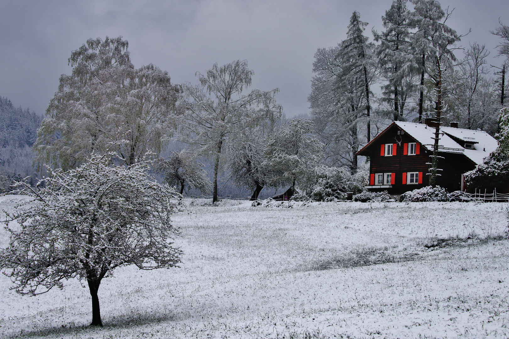 Frühlingswinter im April/ 2 ( das alte Forsthaus )