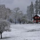 Frühlingswinter im April/ 2 ( das alte Forsthaus )