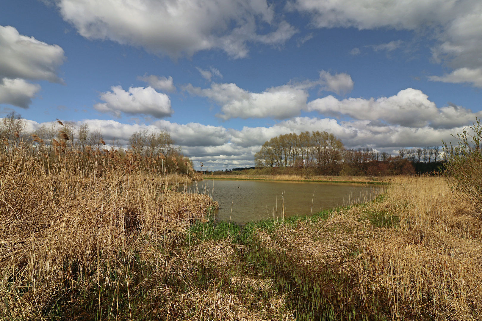 Frühlingswolken überm Regenbecken