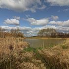 Frühlingswolken überm Regenbecken