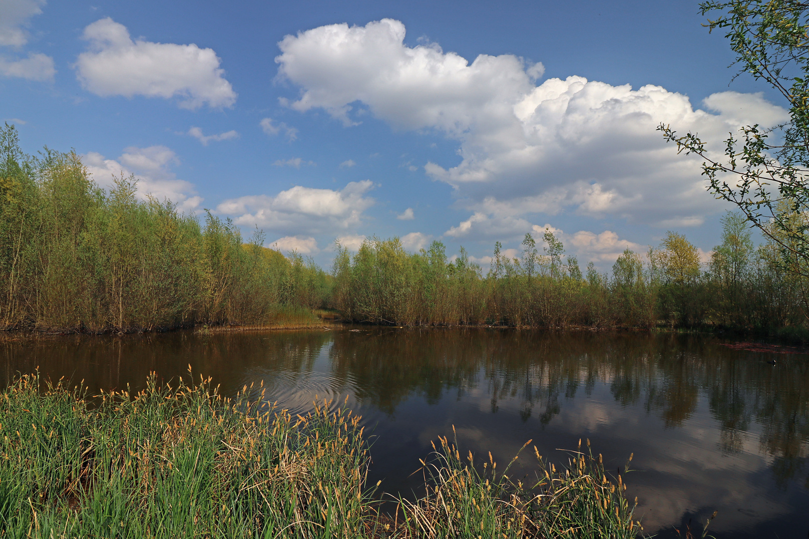 Frühlingswolken überm Teich