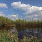 Frühlingswolken überm Teich