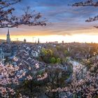 Frühlingszauber Bern