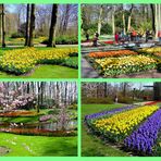 Frühlingszauber im Keukenhof