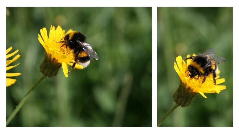 [Frühlingszeit]