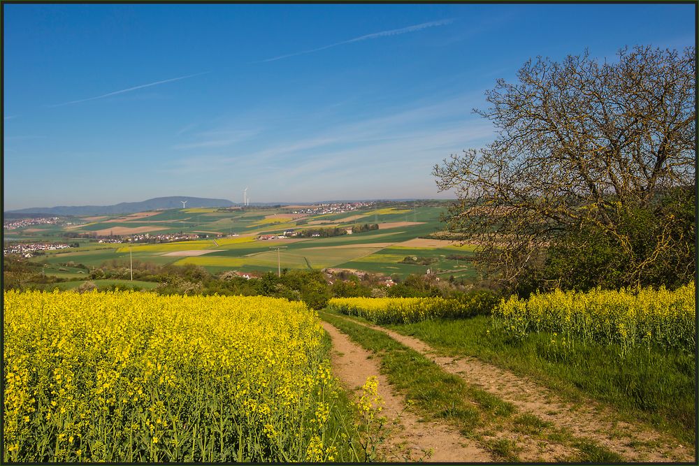 FRÜHLINGSZEIT