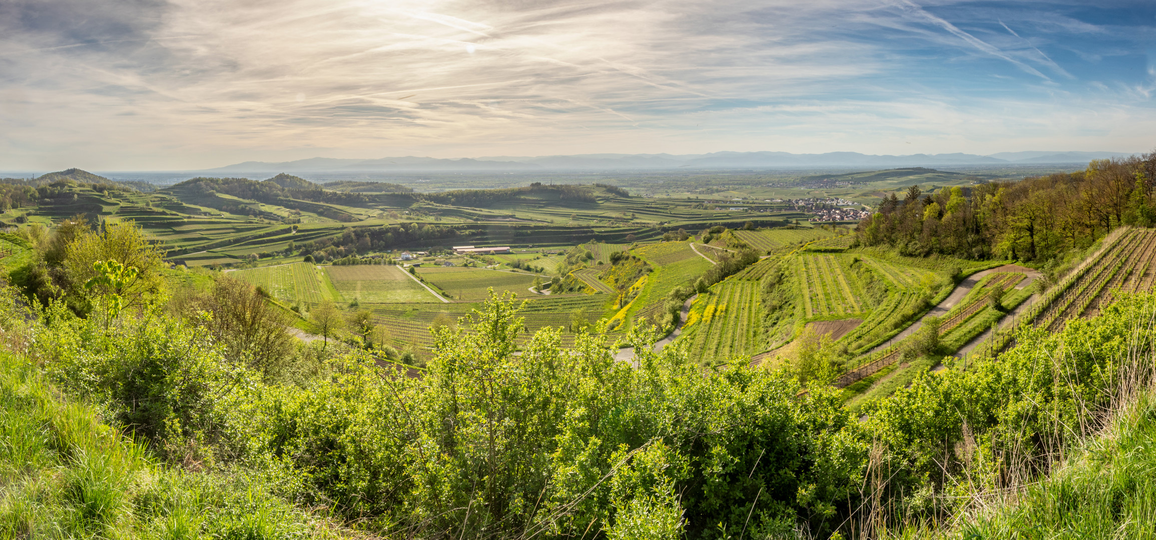 Frühlingszeit am Kaiserstuhl