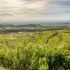 Frühlingszeit am Kaiserstuhl