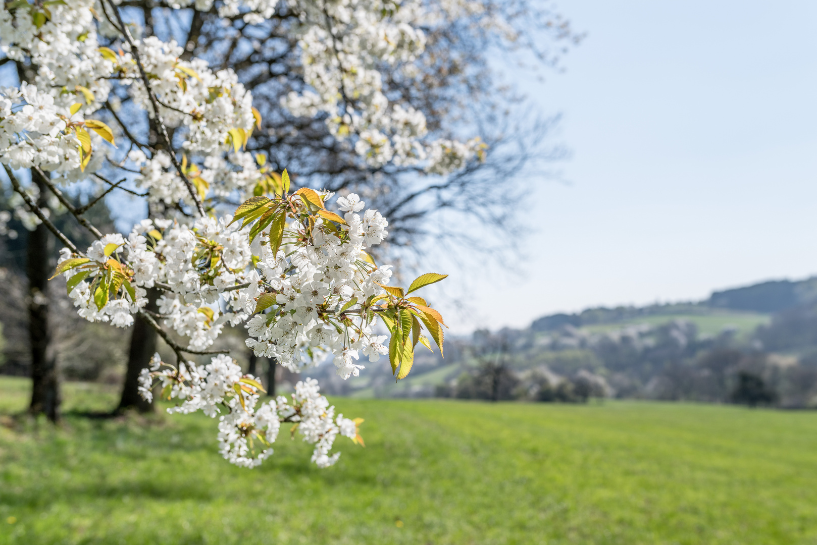 Frühlingszeit