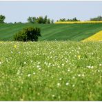 Frühlingszeit im Weinviertel