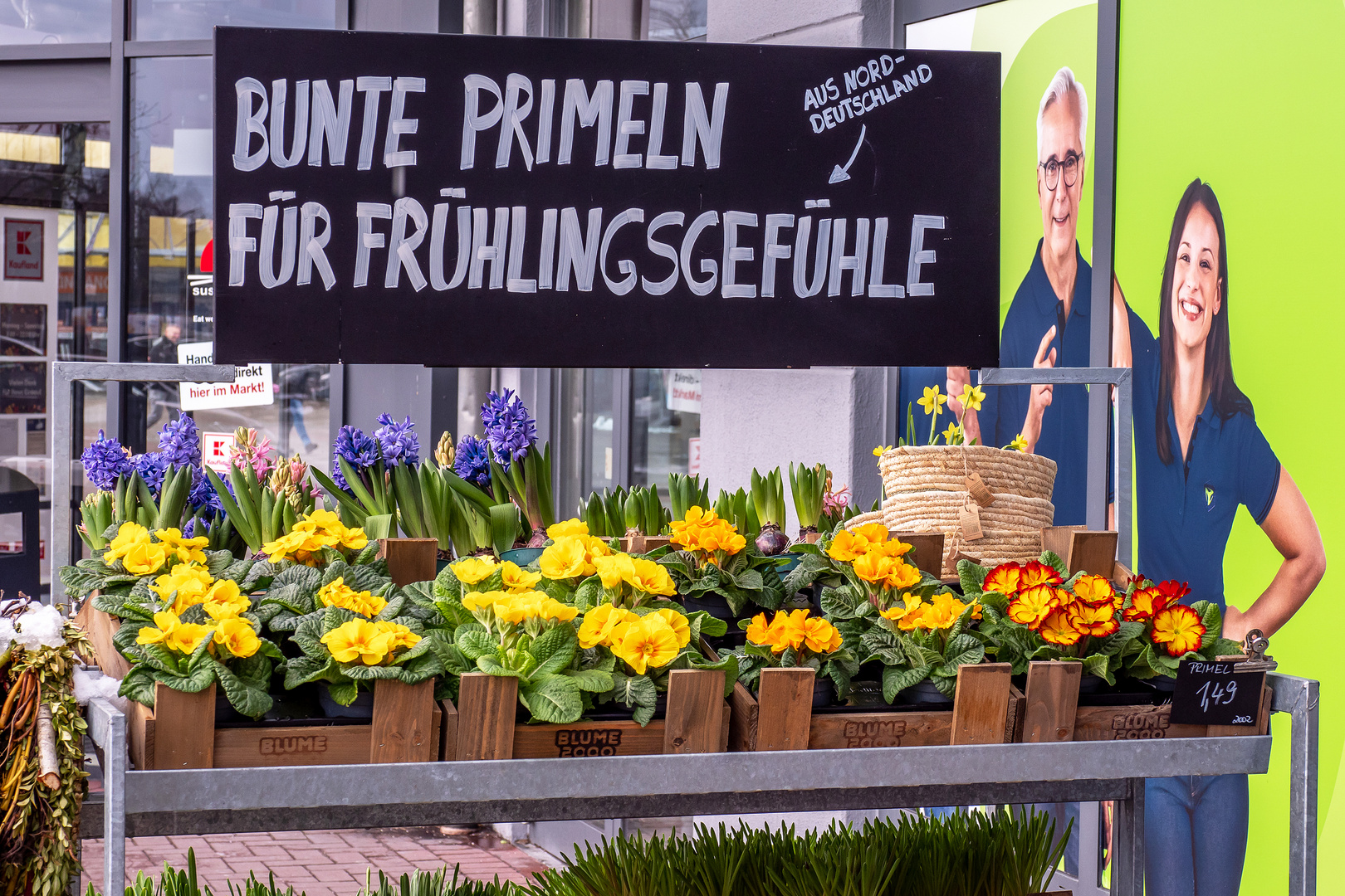 Frühlingszeit ist Blumenzeit