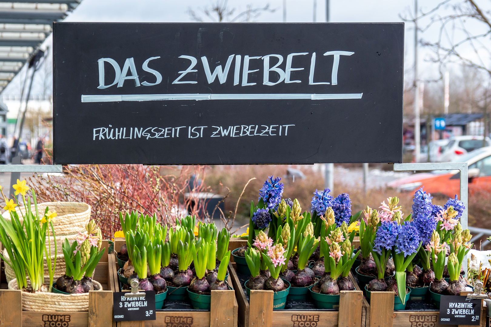 Frühlingszeit ist Blumenzeit