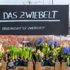 Frühlingszeit ist Blumenzeit