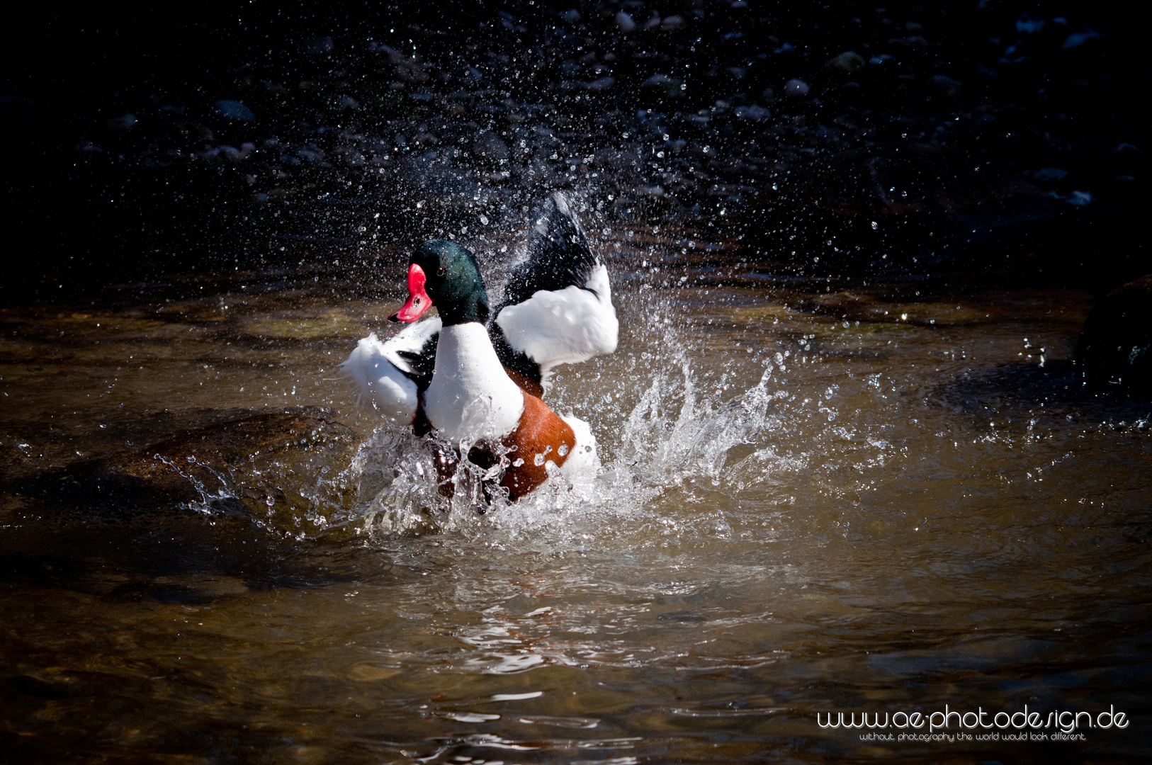 Frühling...Zeit zu baden