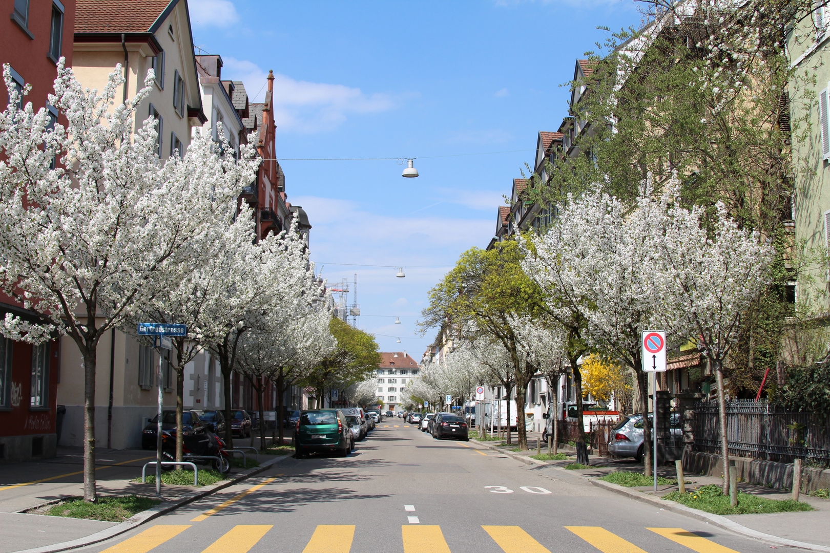 Frühlinsgrüsse aus Zürich