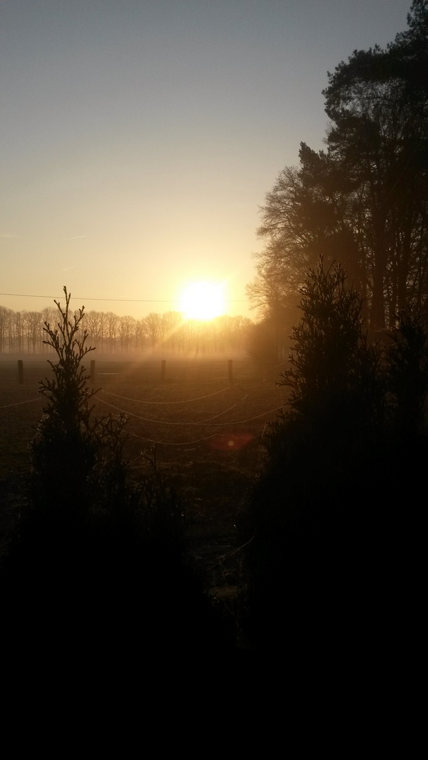 Frühlinsgruß die 2.