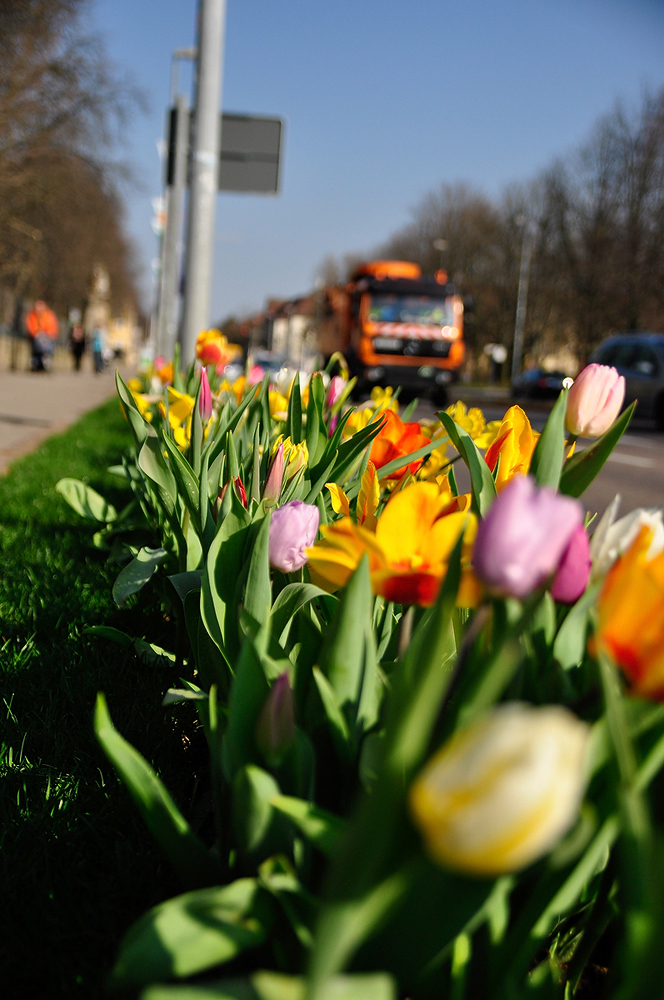 Frühlinsstart in Ludwigsburg