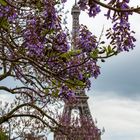 Frühllng in Paris