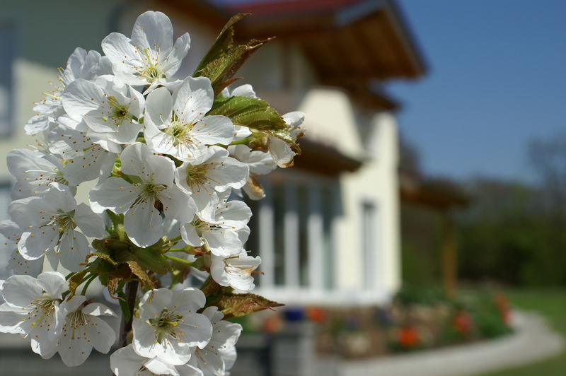 Frühlung vorm Haus