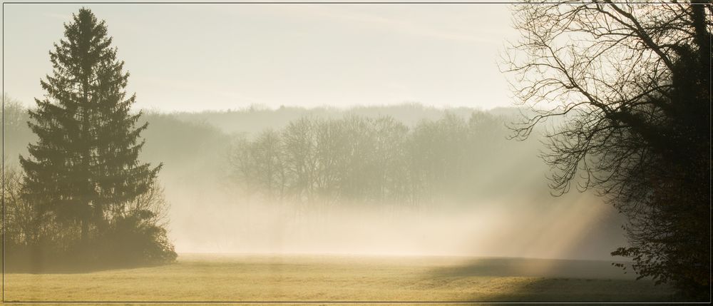 Frühmorgen auf der Schwäbischen Alb