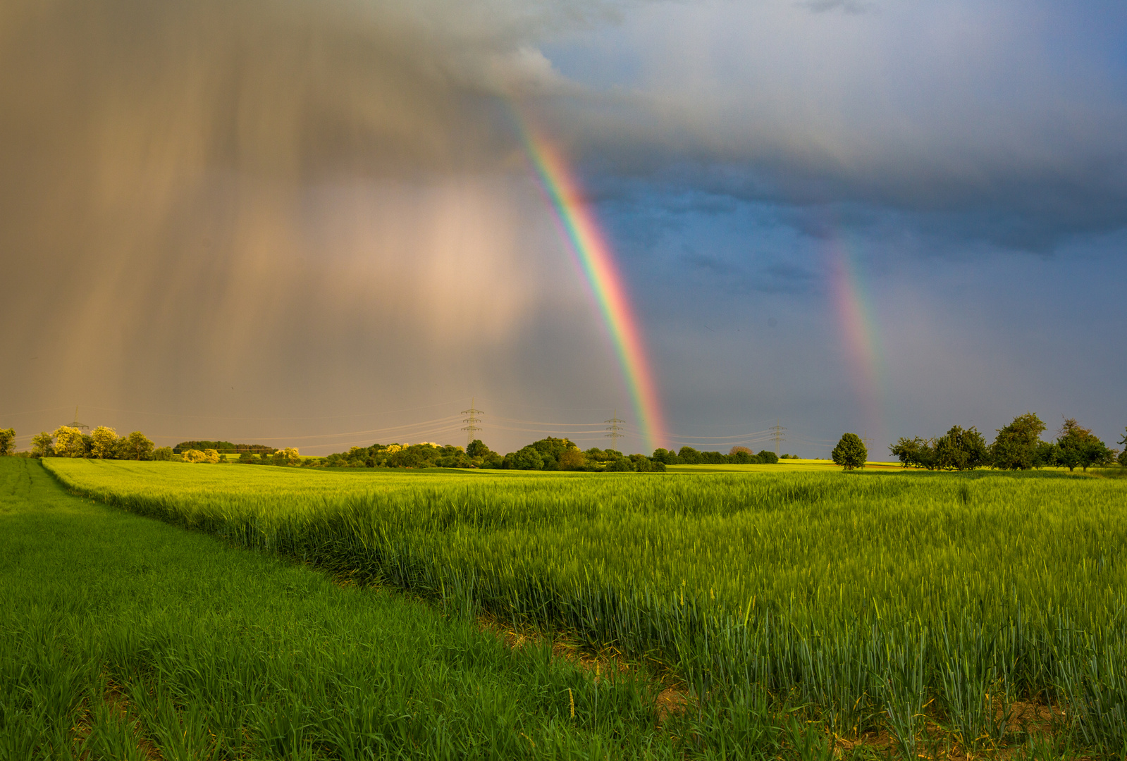 Frühmorgenregenbogen