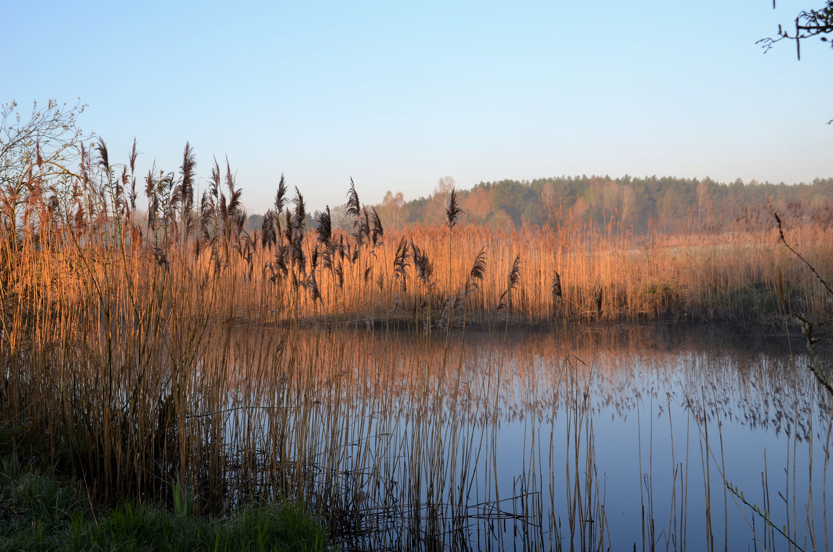 Frühmorgens