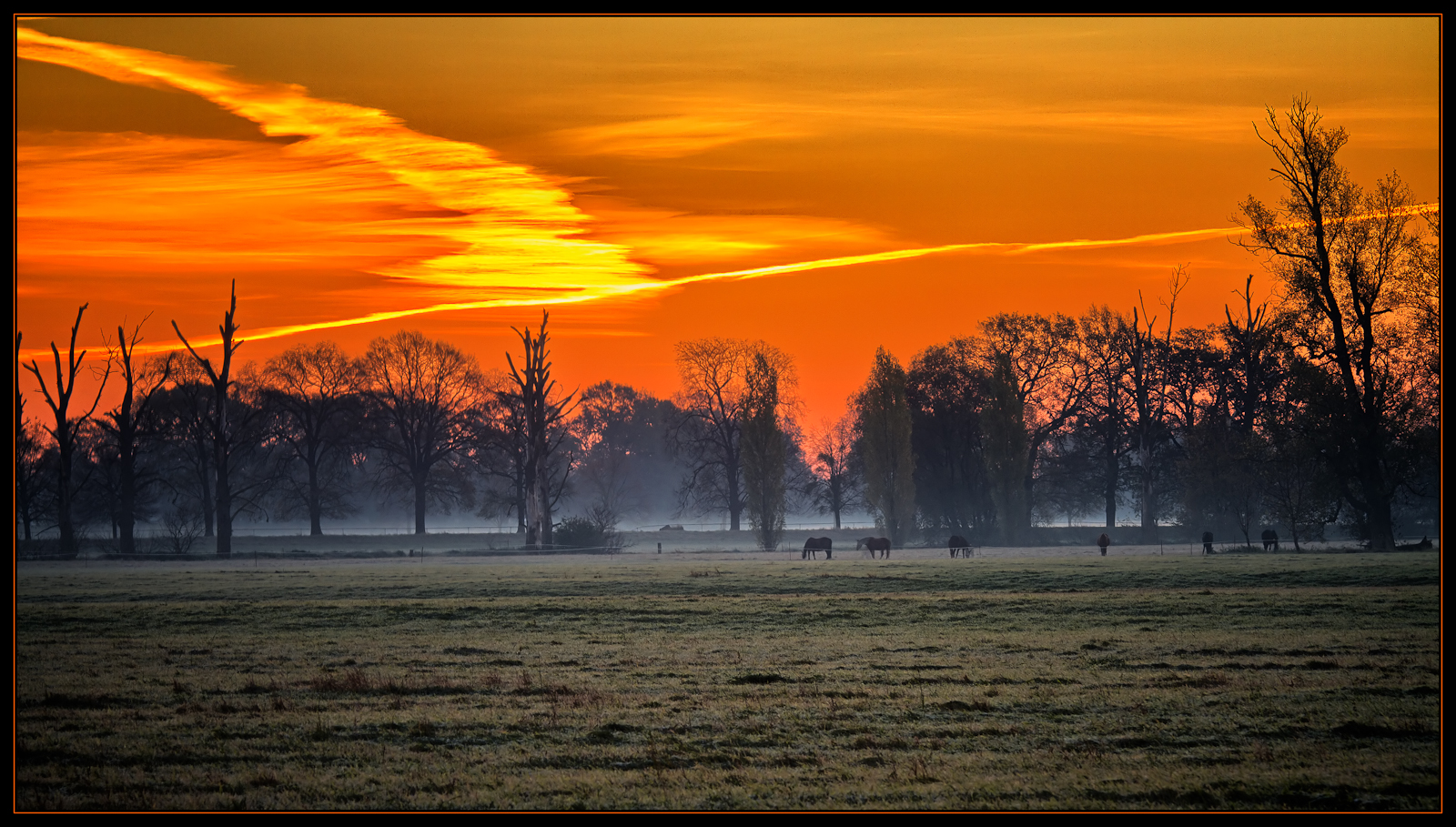 Frühmorgens °1