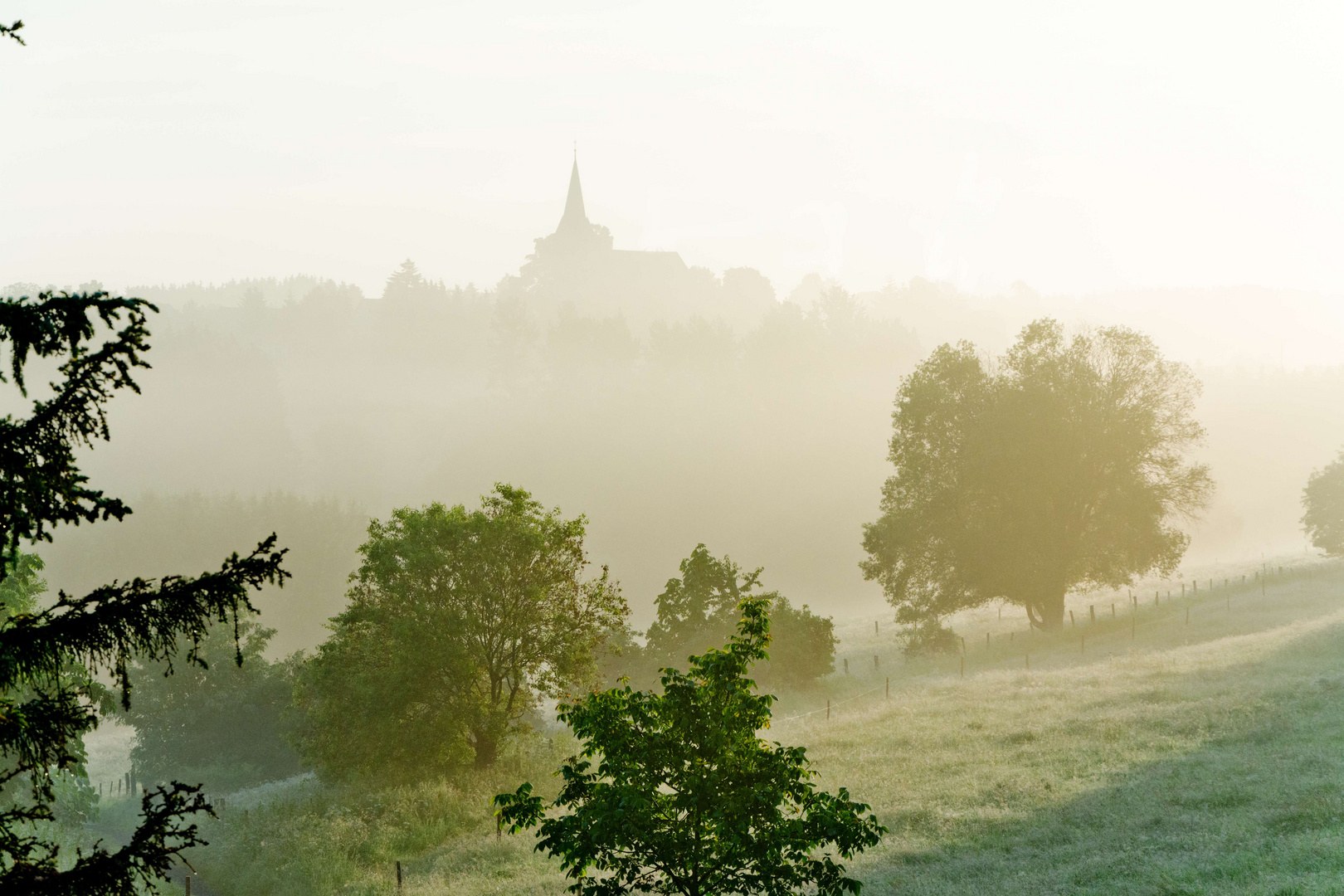 FrühMorgens