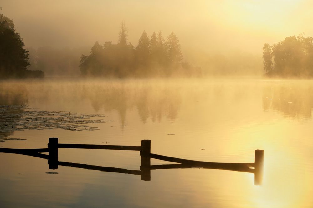 Frühmorgens