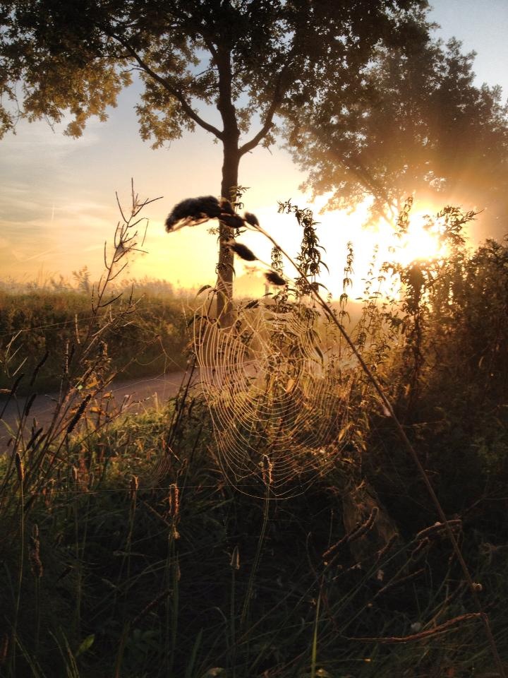 Frühmorgens ....