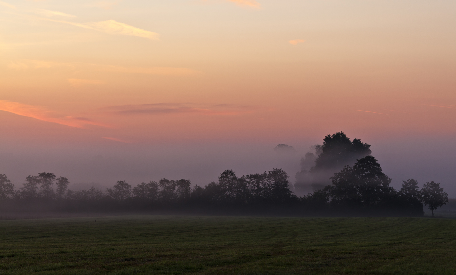 Frühmorgens...